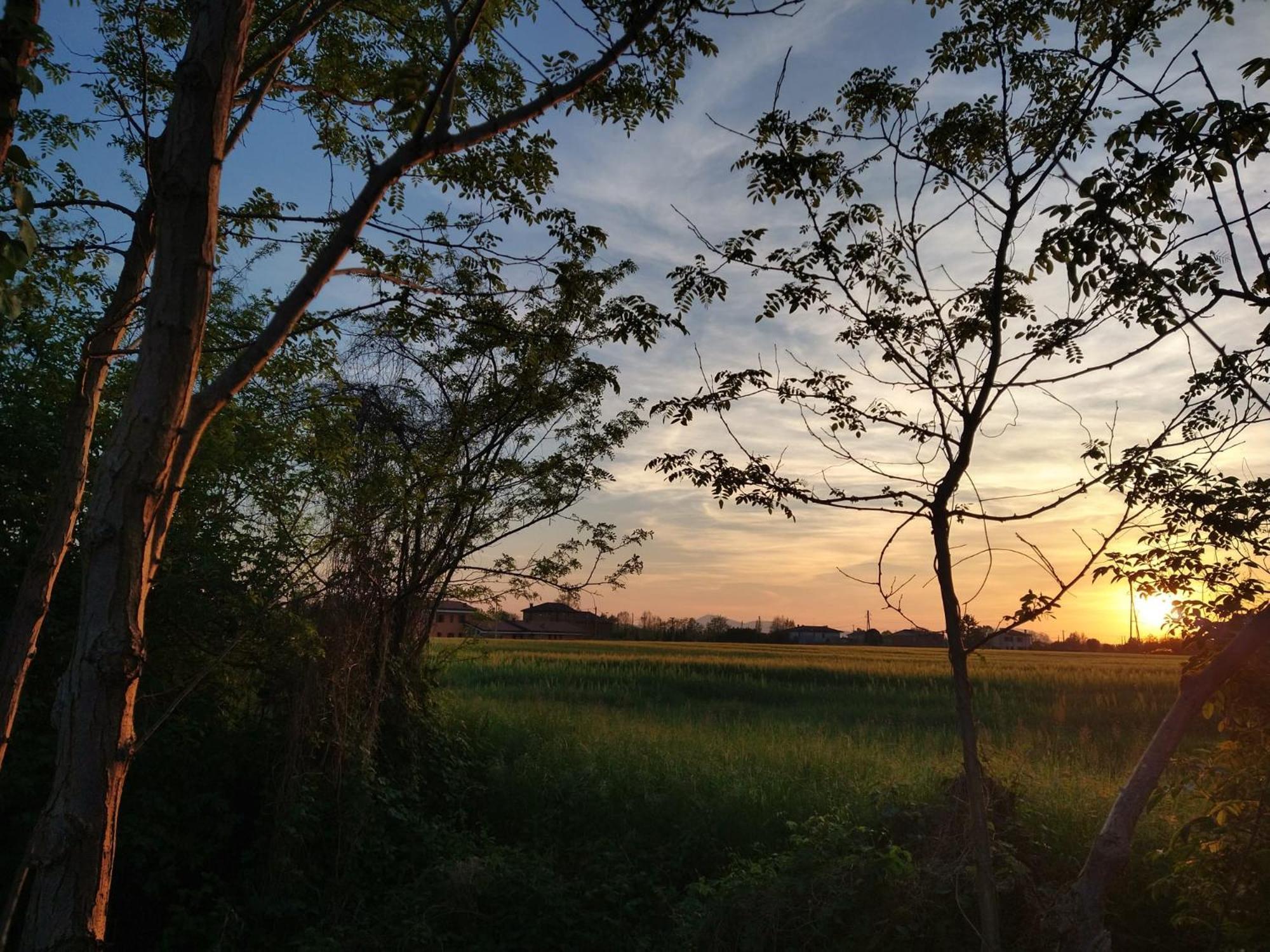 Agriturismo Verdecielo Padova Bagian luar foto