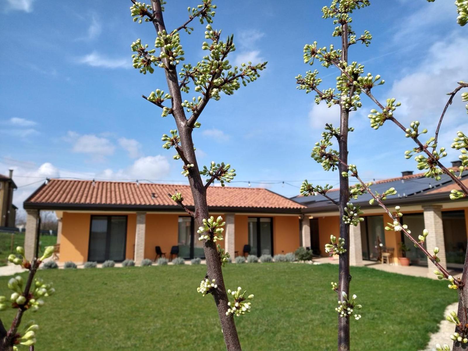 Agriturismo Verdecielo Padova Ruang foto